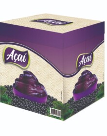 CAIXA PARA AÇAÍ 10L