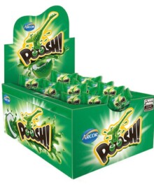 CHICLETE POOSH HORTELÃ 200G