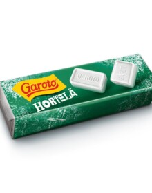 PASTILHAS GAROTO HORTELÃ DISPLAY 40X17G