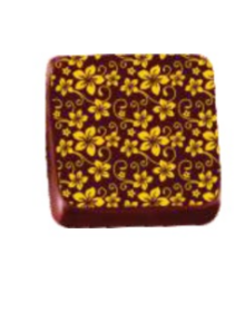 TRANSFER – TRG 8068 04 AM – FLORZINHA