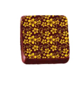 TRANSFER – TRG 8068 04 AM – FLORZINHA